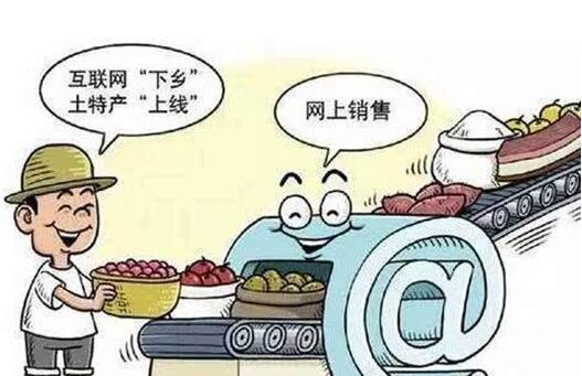 發(fā)力農(nóng)村電商，成都網(wǎng)站建設